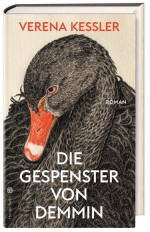 Die Gespenster von Demmin